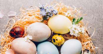 Bricolage de Pâques: une teinture 100 % naturelle et non toxique