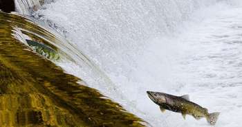 Micro-hydroélectricité