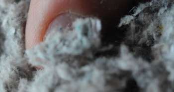 L'isolant de cellulose