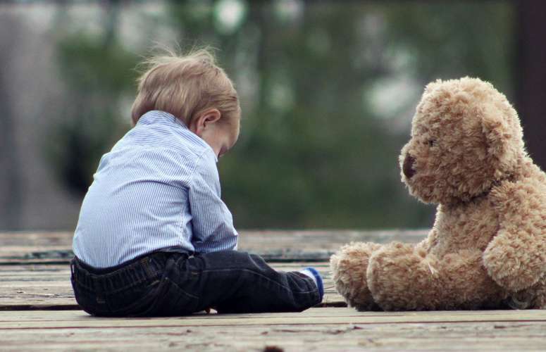 grume bois FSC certifié