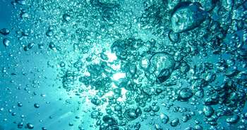 Nouveaux gadgets pour économiser l’eau