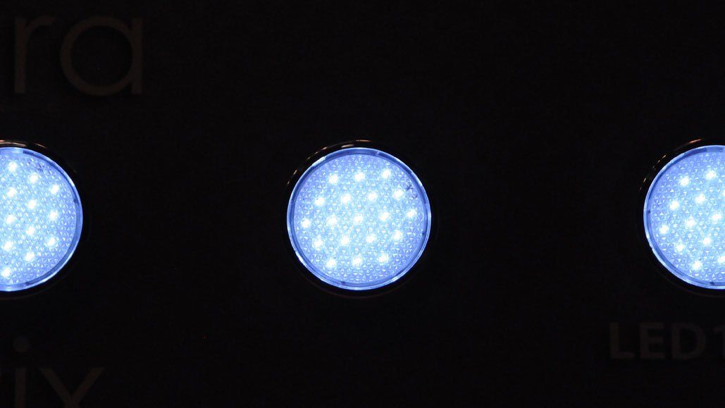 L’ampoule à diodes électroluminescentes (LED) - Écohabitation