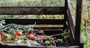 Faire son compost en bac de bois