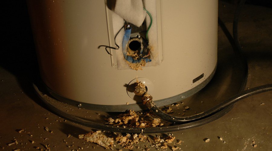 Vidanger Le Chauffe Eau écohabitation