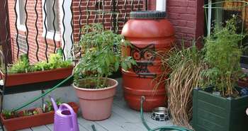 baril de récupération d'eau de pluie