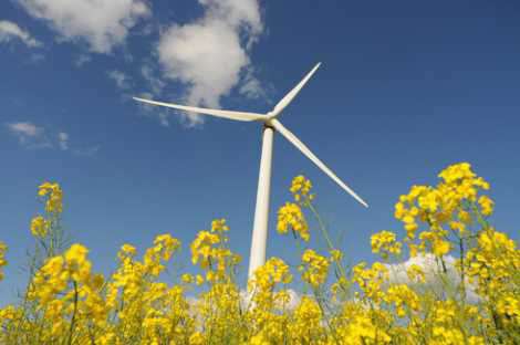 Énergie renouvelable : Formation sur les Éoliennes