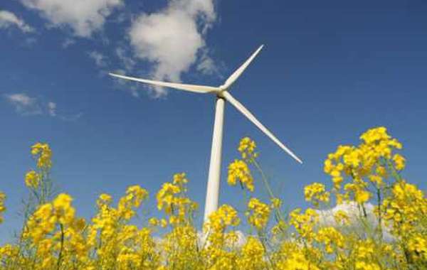 Énergie renouvelable : Formation sur les Éoliennes