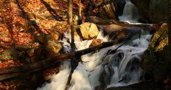 Aspects environnementaux, légaux et économiques de la micro-hydroélect