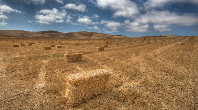 Tout Sur Les Isolants Naturels 1 L Isolant De Paille Ecohabitation