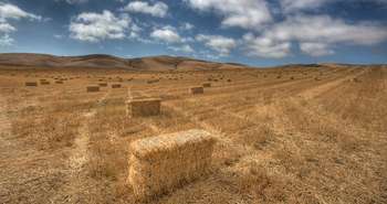 Tout sur les isolants naturels : 1. L'isolant de paille