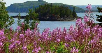 Caroline et Stéphane, Creative Commons.