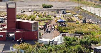 l’agriculture urbaine s'invite sur un chantier de construction de Montréal