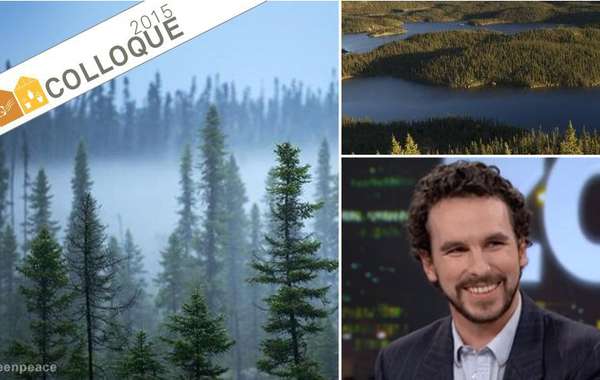 Entrevue avec Nicolas Mainville, porte-parole de Greenpeace au Québec.