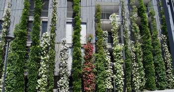 Les villes sont les plus touchées par les vagues de chaleur