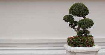 La Maison modèle Bonzaï : exemplaire sur le plan des matériaux