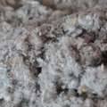 Isolant naturel : la cellulose