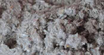 Isolant naturel : la cellulose
