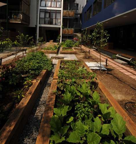 Jardin : Cultiver en ville : petit guide en ligne pour le jardinage ur