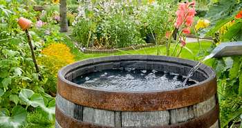 Récupération de l’eau de pluie