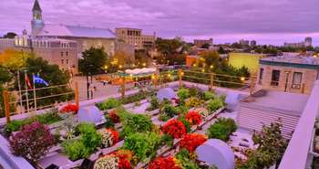 Le toit vert de la caisse populaire Desjardins du Mont-Royal.