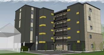 Le Mimosa du Quartier