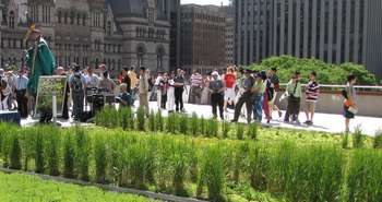 Les toits verts réduisent les coûts de climatisation et de chauffage