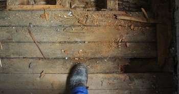 Propagation de la mérule pleureuse et ses subventions