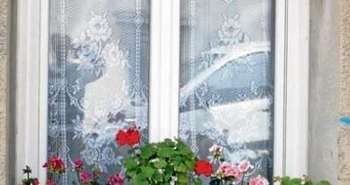 COV et Maison en plastique : l'idée guère fantastique