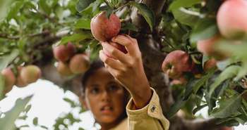 La formation pour la permaculture urbaine