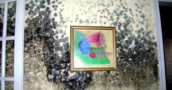 Une maison de la Nouvelle-Orléans après le passage de l’ouragan Katrin