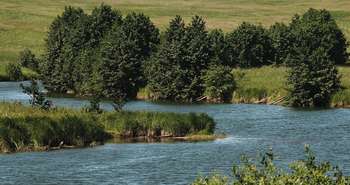 L'aménagement écologique des terrains au bord de l'eau