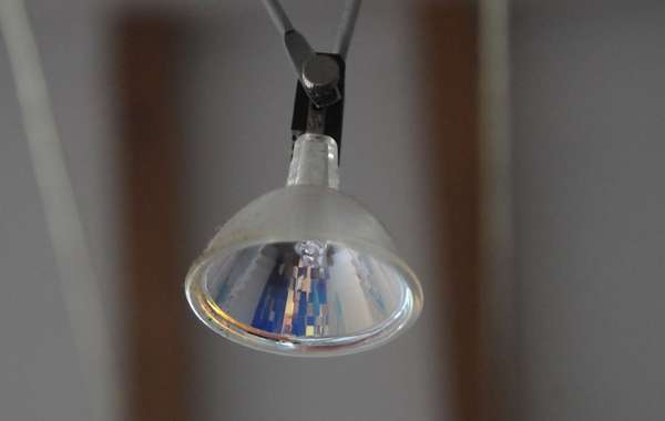Ampoules électriques: lesquelles choisir pour plus d'économies et  d'écologie? - La Voix du Nord