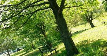 municipalité, leed, voiture électrique, Nicolet