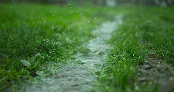 Le système de récupération d’eau de pluie : le traitement