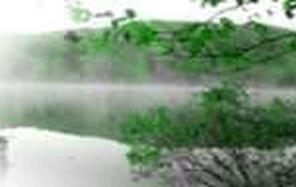 TerraVie a besoin de votre collaboration