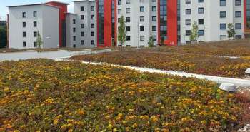 Toits verts multilogement