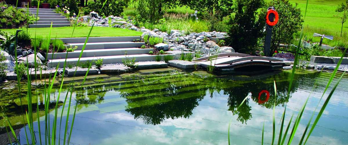 38 idées de Bassins de jardin  jardin d'eau, jardins, bassin de