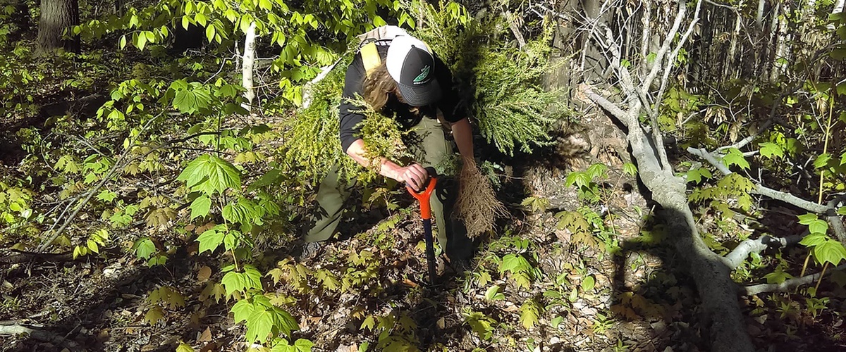Fonds Pour Le Reboisement Appel A Projets Ecohabitation