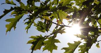 La structure extérieure de la maison passive