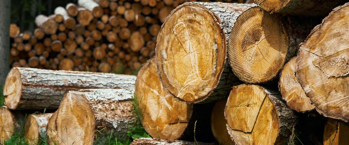 Le chauffage au bois peut être écologique