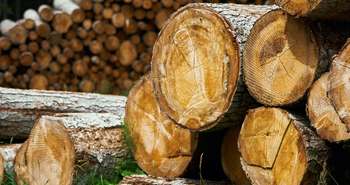 Le chauffage au bois peut être écologique