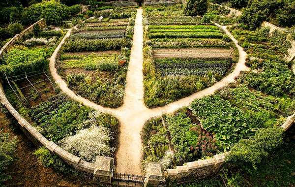 Formation Jardiner avec la permaculture