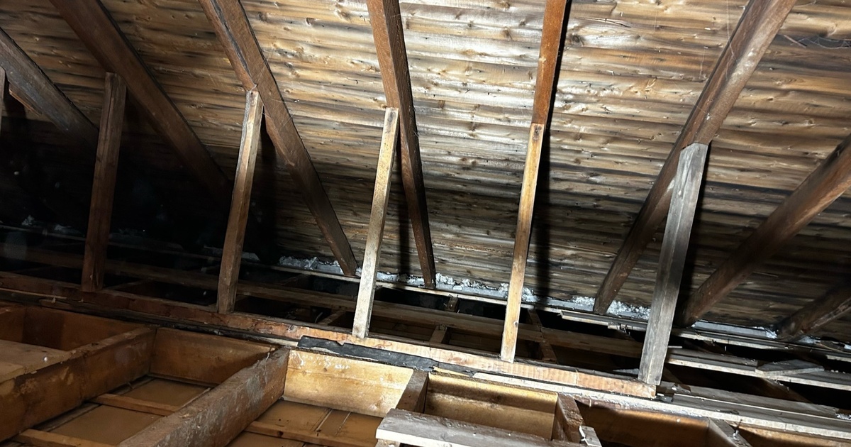 Décontamination de moisissures dans l'entretoit - Écohabitation