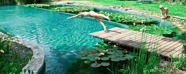 Tout sur la piscine écologique et les piscines naturelles