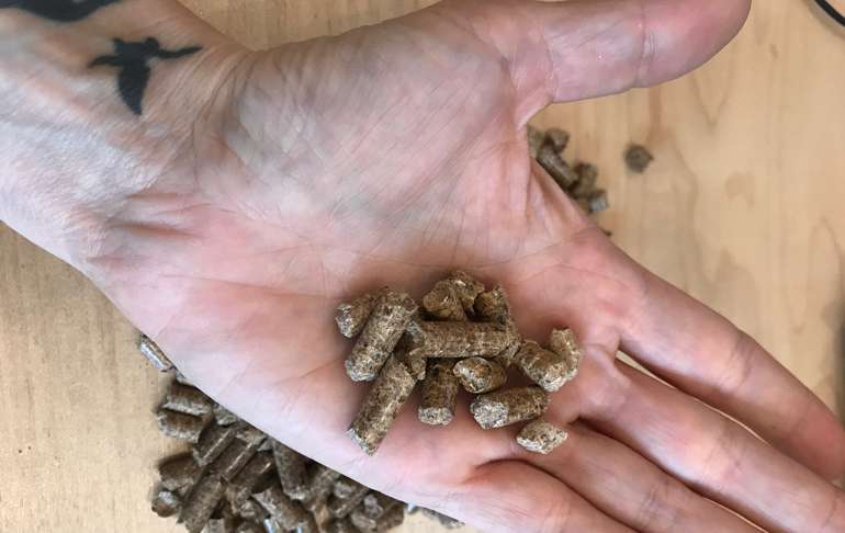 Pellets : 12 alternatives écologiques et moins cheres aux granulés