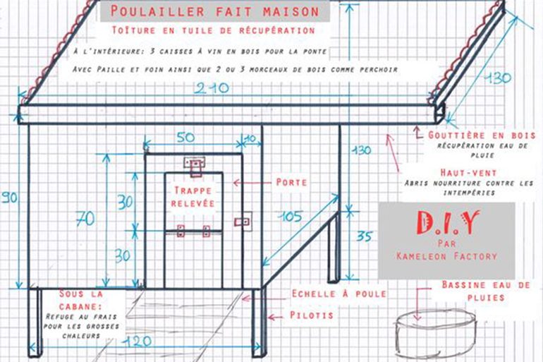 DIY: construire son propre poulailler