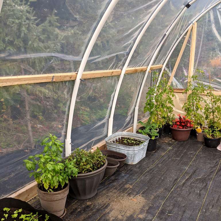 Comment fabriquer une serre de jardin avec des tuyaux en pvc - Écohabitation