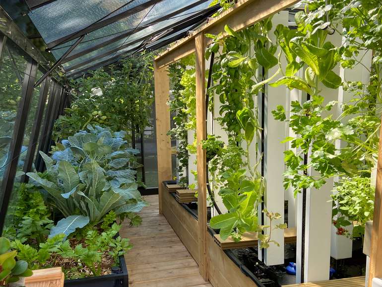 Serre de jardin pas cher : comment limiter vos dépenses ?