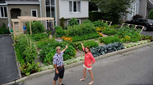 Le fameux potager en façade de Drummondville