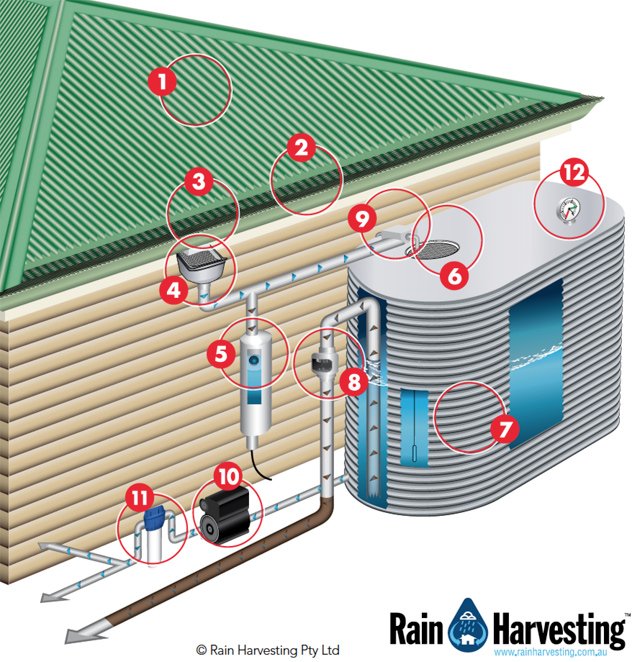 Récupérez l'eau de pluie : équipement, mise en oeuvre, quantité